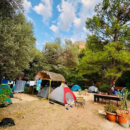 Luxury tent Lilith Pan